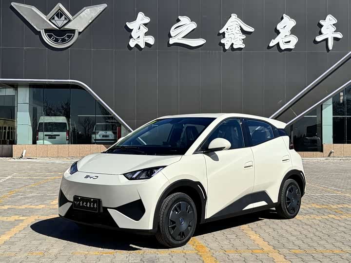 BYD Seagull Smart Driving 305km Vitality