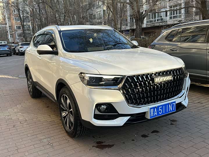 Haval H6 China Chic 1.5T Automatic Champion Edition photo 4