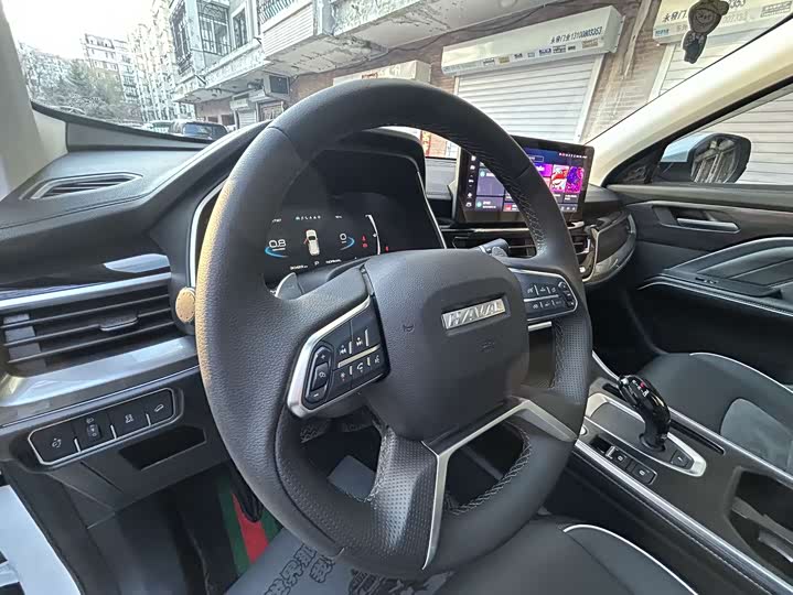 Haval H6 China Chic 1.5T Automatic Champion Edition photo 9