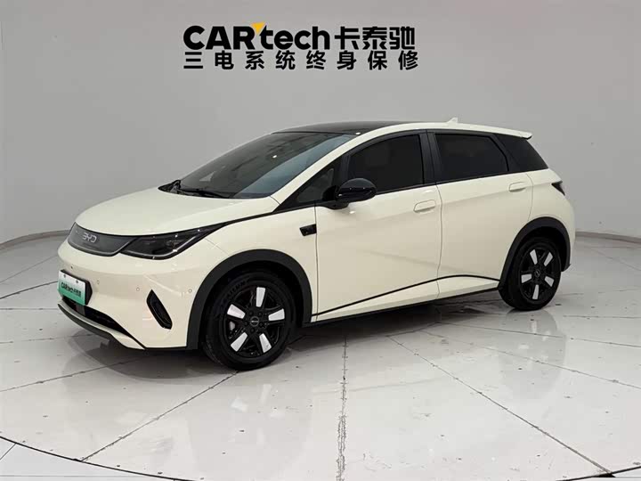 BYD Dolphin Smart Driving 410km Fashion