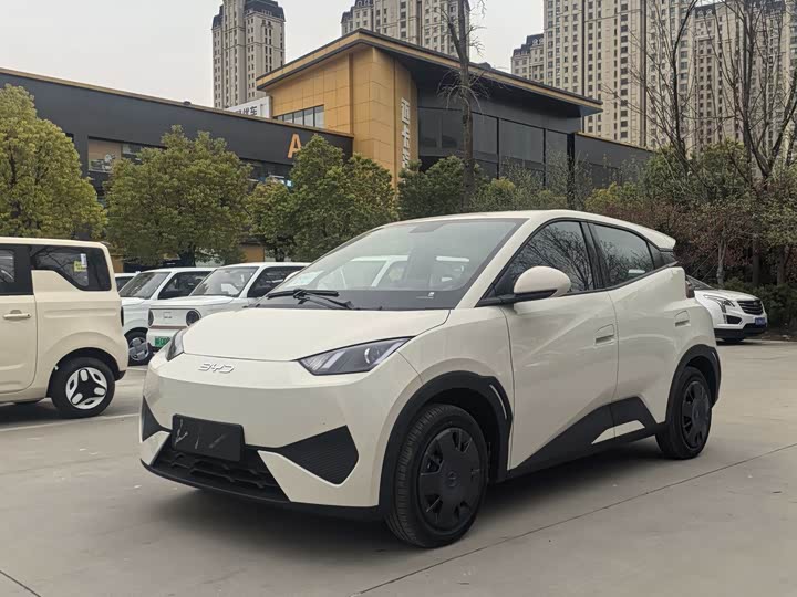 BYD Seagull 305km Vitality