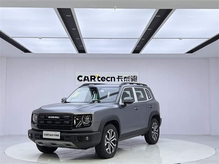 Haval 2.0T DCT Rural Dog Edition